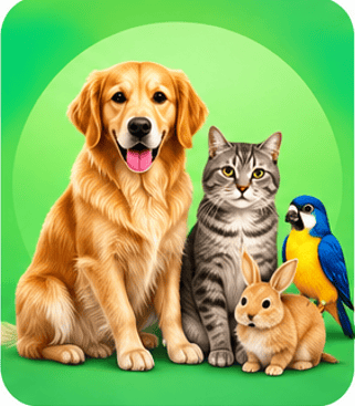 Pets